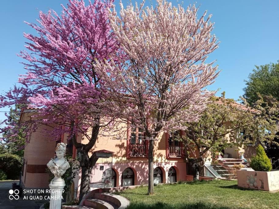 Вилла Finca Denunez Ла-Мата Экстерьер фото
