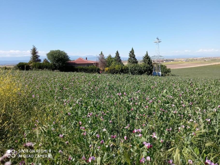 Вилла Finca Denunez Ла-Мата Экстерьер фото